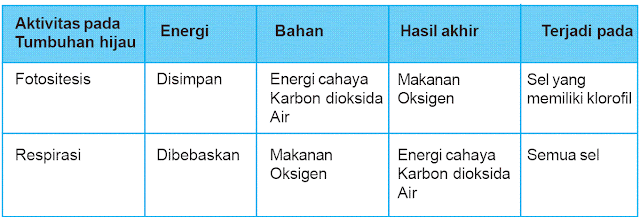 Kumpulan Tugas Sekolahnya Raka Bintang DAUN