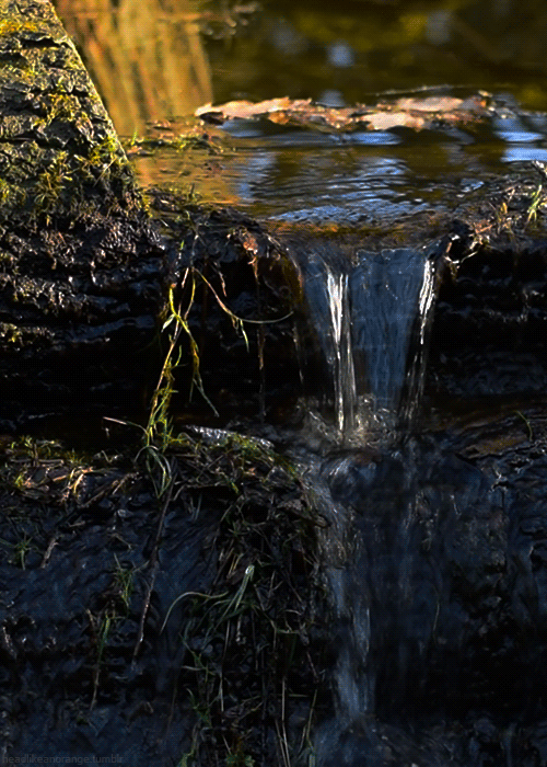 blogviajeroisso 03/05/2014ROMERÍA AL PEDERNALOSOISSO
