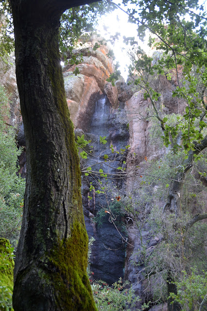 narrow canyon waterfall