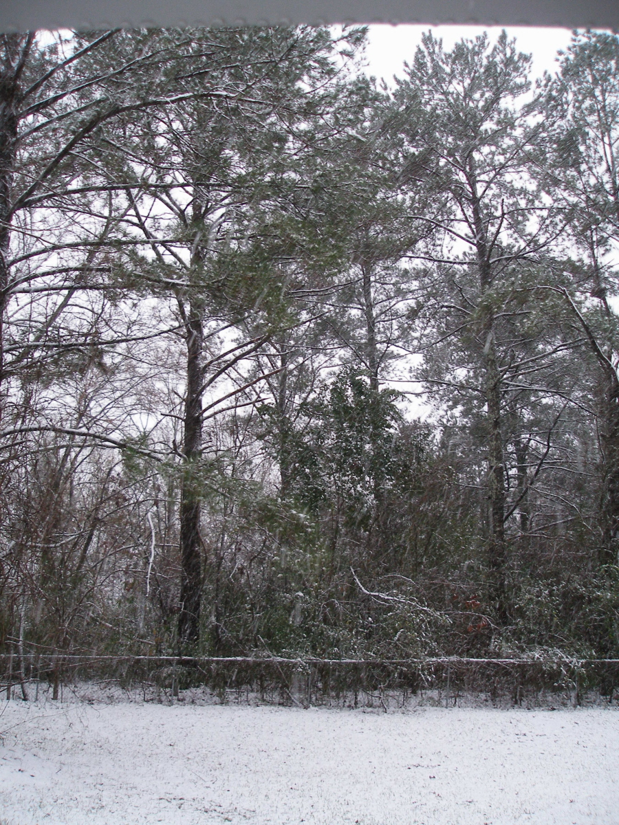 ColCampbell's Barracks Snow! In Mississippi