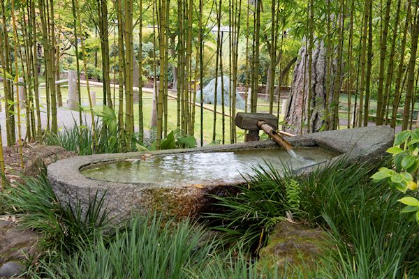 A GUIDE TO NORTHEASTERN GARDENING: This Monthâs Color in japanese bamboo garden design
