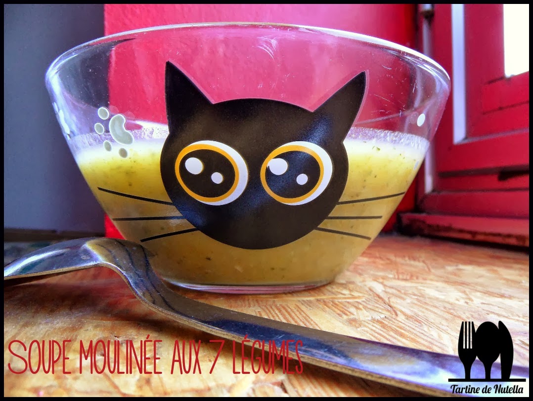 Soupe moulinée aux 7 légumes - haustiersos