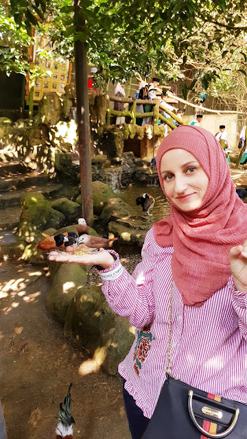 farm attractions, farm in the city, malaysia farm, tourism, tourist attraction seri kembangan, tourist attractions selangor, travel, farm attractions, farm in the city, malaysia farm, tourism, tourist attraction seri kembangan, tourist attractions selangor, travel,
