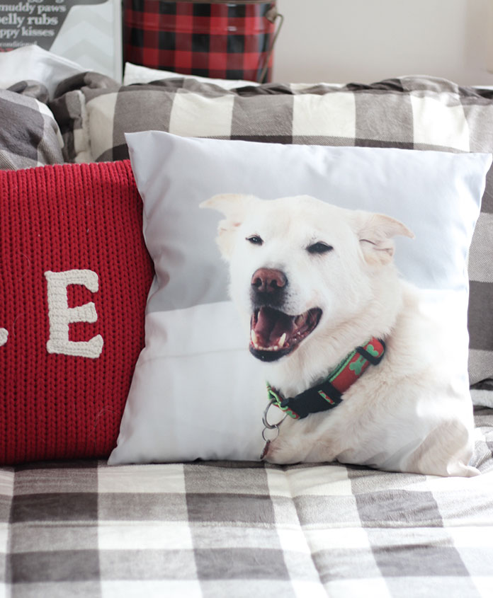 5 Personalized Pet Gifts Your Valentine Will Love Sunny Day Family