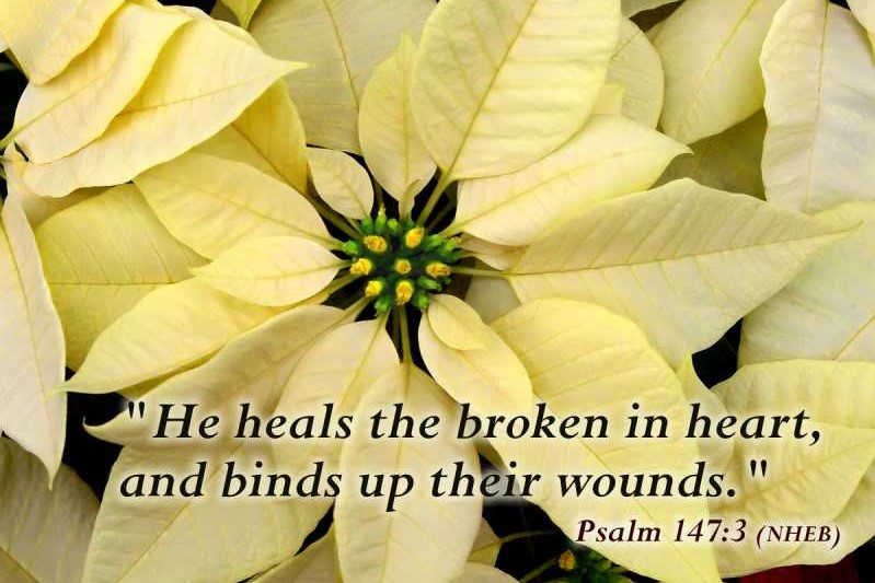 Catholic Prayers PRAYER FOR THOSE MOURNING THE LOSS OF A CHILD