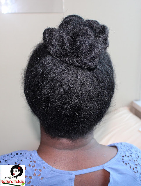 african naturalistas, natural hairstyle, twists, natural hair, team natural, natural hair twists bun, protective styles, long natural hair