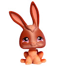 Littlest Pet Shop Tubes Rabbit (#434) Pet