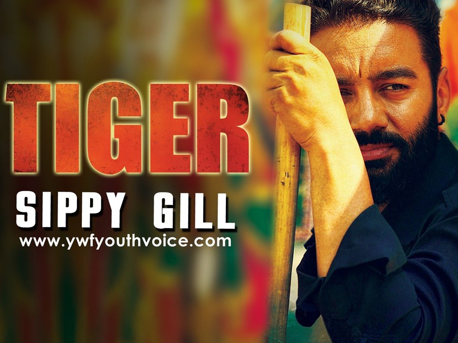 Tiger (Title Track) - Sippy Gill - Khooni Sher De Panje Ch Shikar Aagya