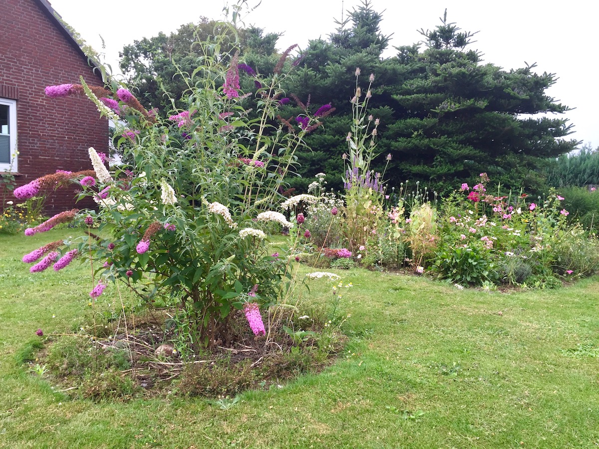 VorherNachher der Sunnys Haus