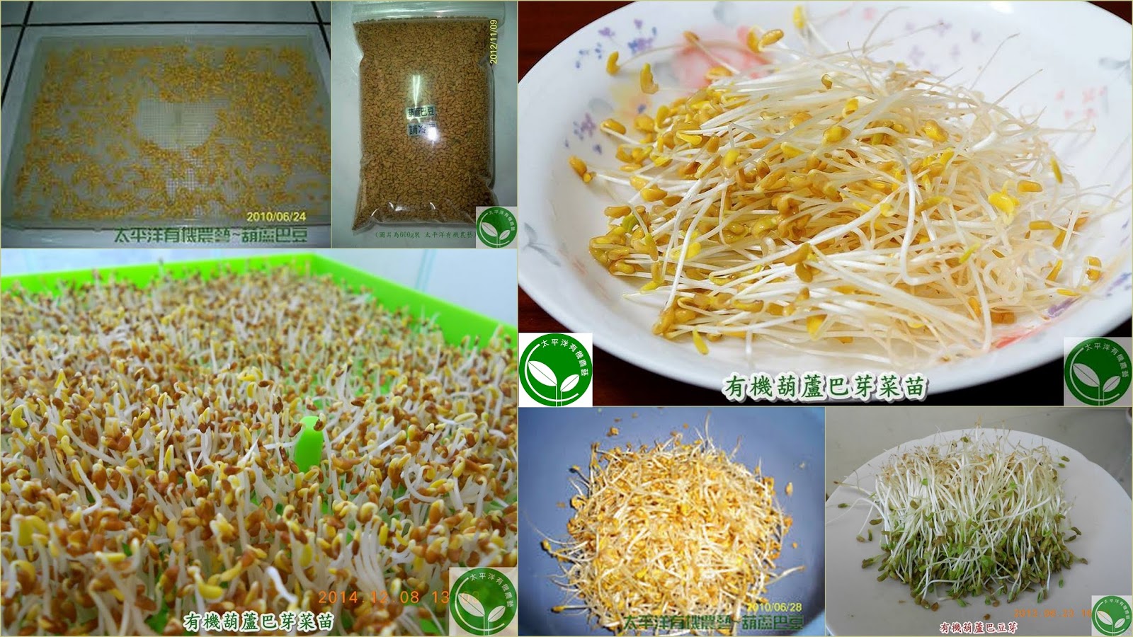 ��Ī��,��Ī�گ�,��Ī�ڤl,��Ī�ڤl�\��,��Ī�گ��\��,��Ī�گ����̶R,��Ī����������,��Ī�ڧO�W,��Ī��fenugreek,��Ī�ڭ쨧,��Ī�ڬ�,��Ī�ںؤl,��Ī�ڪ�,��Ī�ڨ�,��Ī�ڨ��\��,��Ī�ڨ���,�孻��,���`��,�����l,fenugreek,��Ī�K,��Ī�K��,��Ī�K���l,��Ī�K����,fenugreek seeds,��Ī�ں�O��,��Ī�ڭ��̶R,��Ī�ګ��Y,��Ī�ڽ��n,��Ī�ڬ�\��,��Ī�ڤl���Y,��Ī�ڨ��޵�,gnc fenugreek��Ī�ڬ��n,��Ī�ڵo����,��Ī���P,��Ī�ڪo,��Ī�ڬ�^��,��Ī�ڮƲz,��Ī�ڬ��,��Ī�ںش�,��Ī�ڰƧ@��,��Ī�گ��Y�k,��Ī�ڬ���̶R