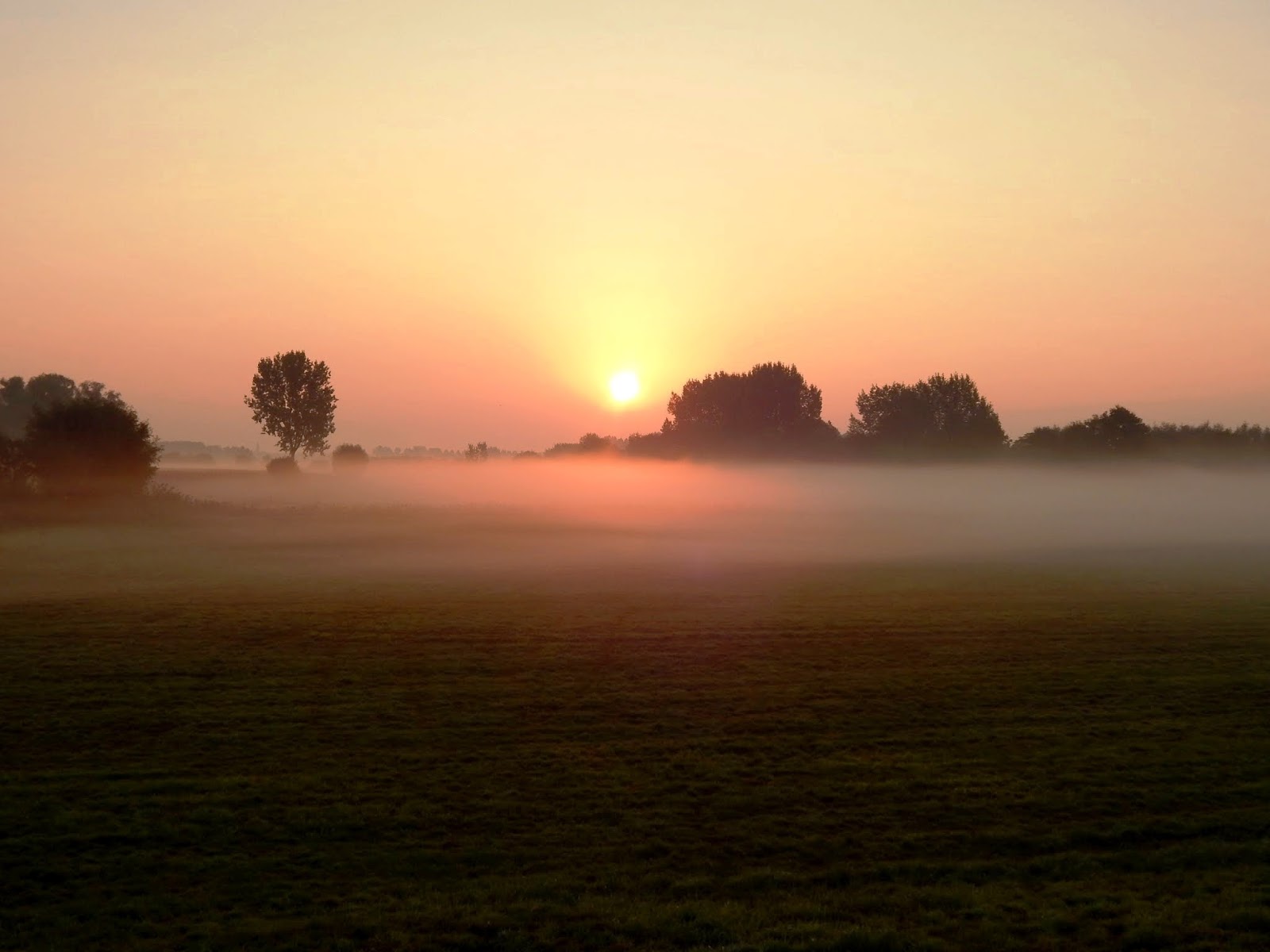 Outil Du Nombre D'or, Viseur D'artiste Portable, Caméscope Compact