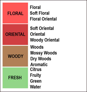 Perfume Classification Chart