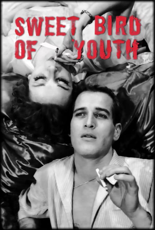 Descargar Dulce pájaro de juventud 1962 Blu Ray Latino Online