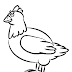 Coloring Pages Of Chickens