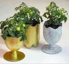 Membuat Pot Unik dari Botol Bekas Membuat Pot Unik dari Botol Bekas