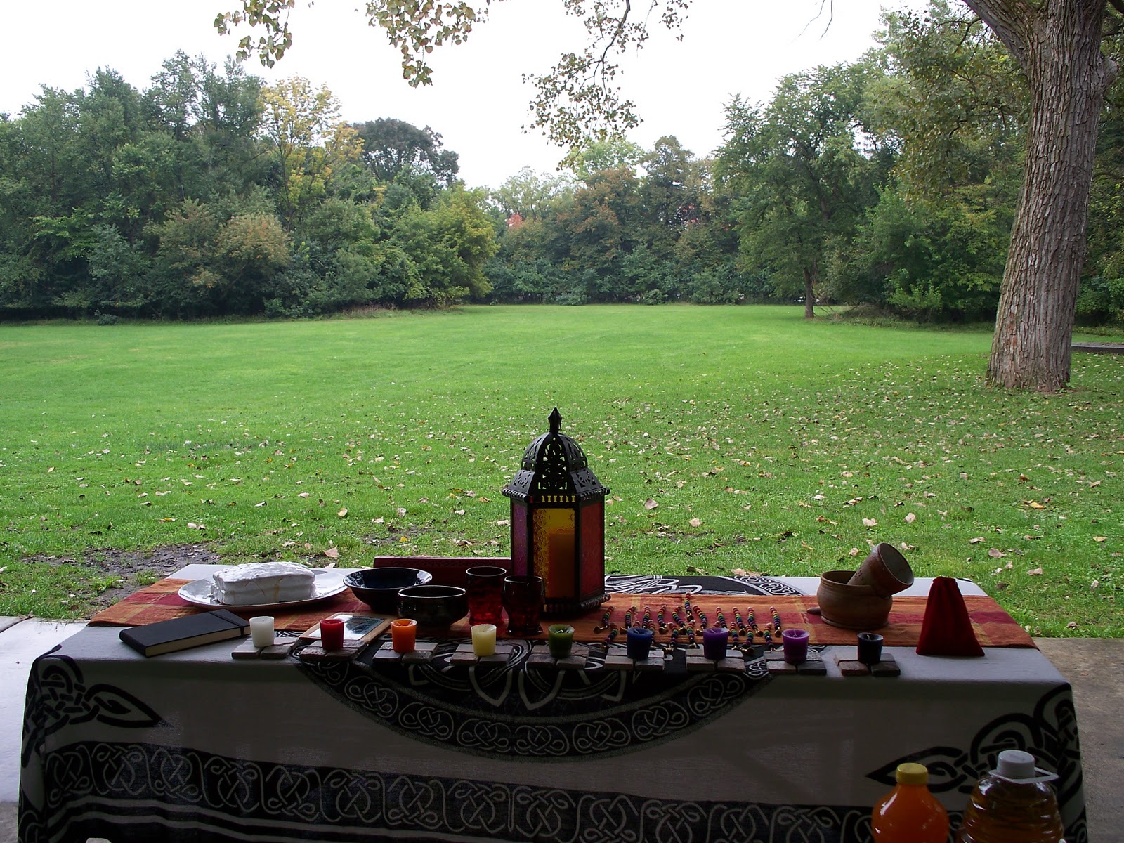wild-onion-grove-adf-autumn-equinox-2011