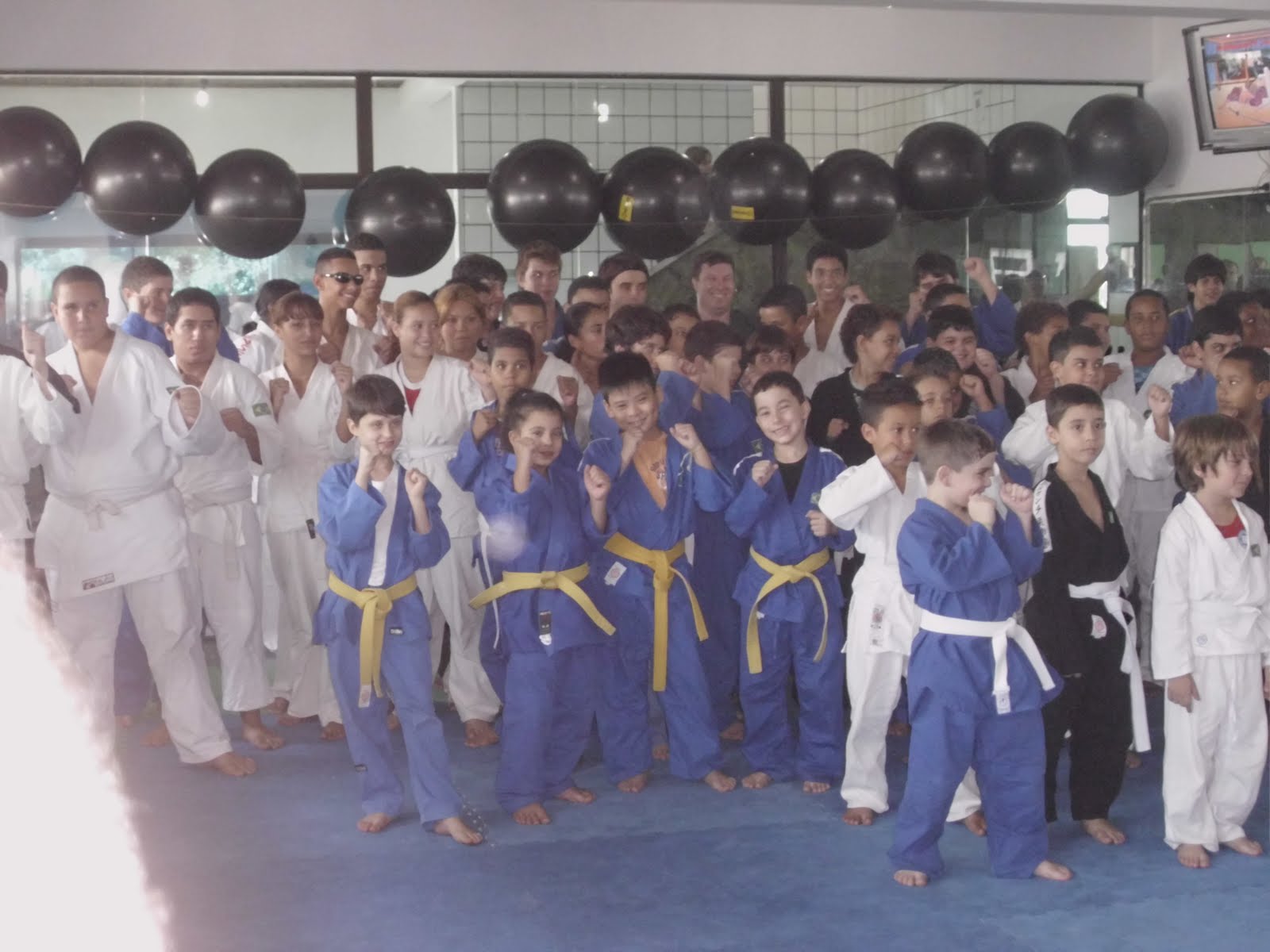Ju Jitsu Brasiliano Teoria E Tecnica
