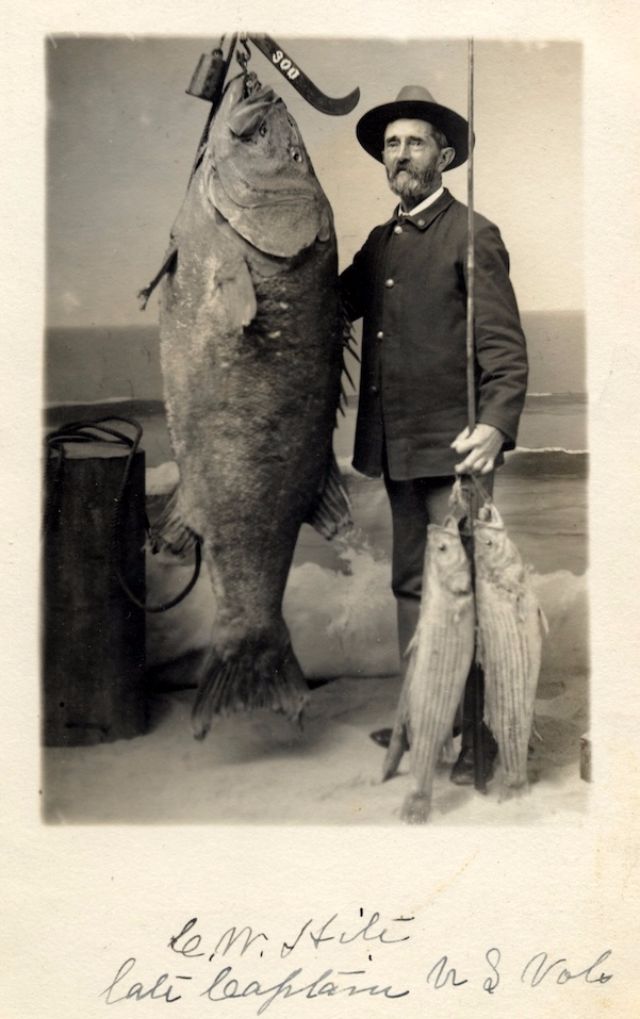 Big Catches of the Past  Fascinating Photos of Fishermen and Their Trophies - 24
