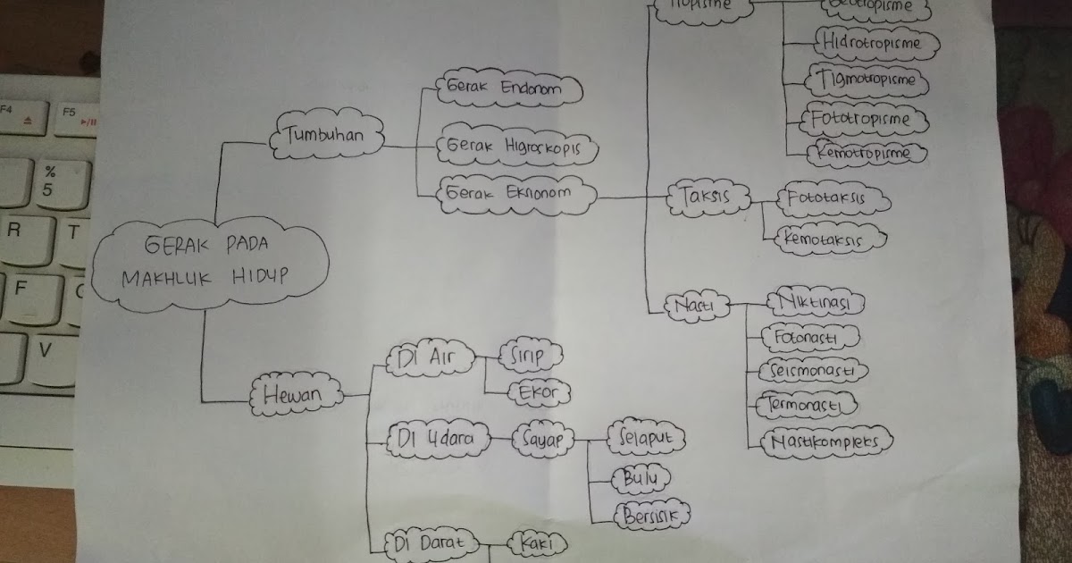 MIND MAP GERAK PADA MAKHLUK HIDUP | sainsblog06