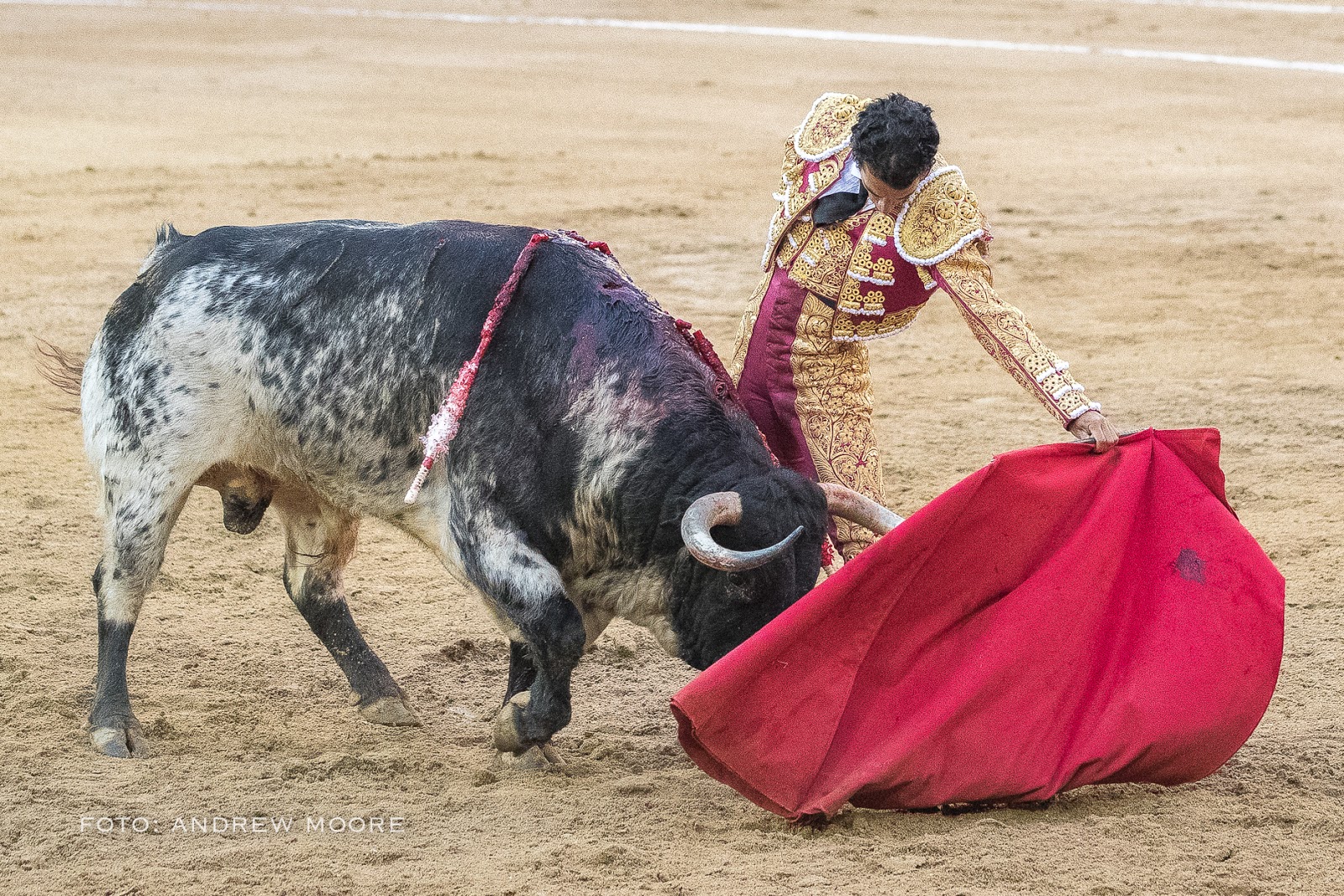 LA BOTA DE VINO DE PLÁSTICO LA BOTA DE VINO DE PLÁSTICO