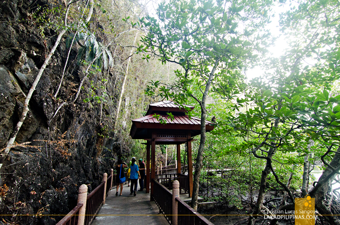 Kilim Karst Geoforest Park Langkawi Bat Cave