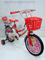 16 Inch Everbest 16-1139 Girl Kids Bike