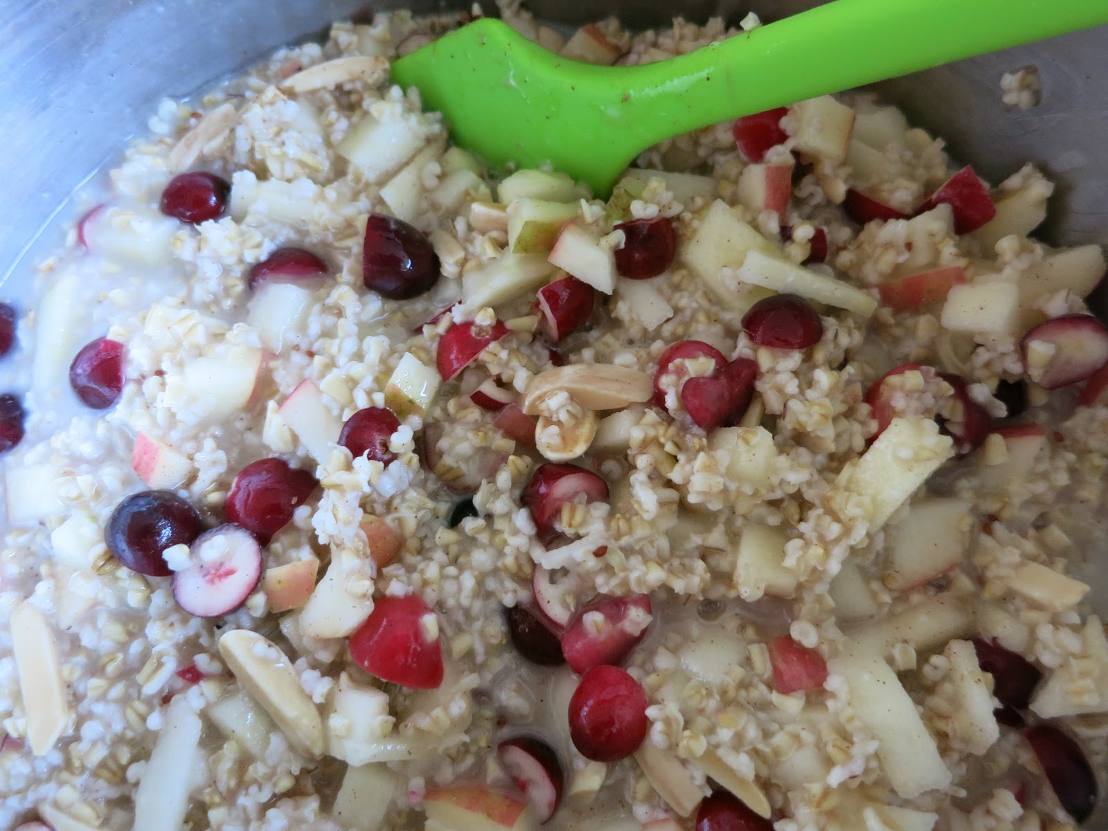 Geetha's Kitchen Autumn Muesli II (Warm & Creamy Steelcut Oats