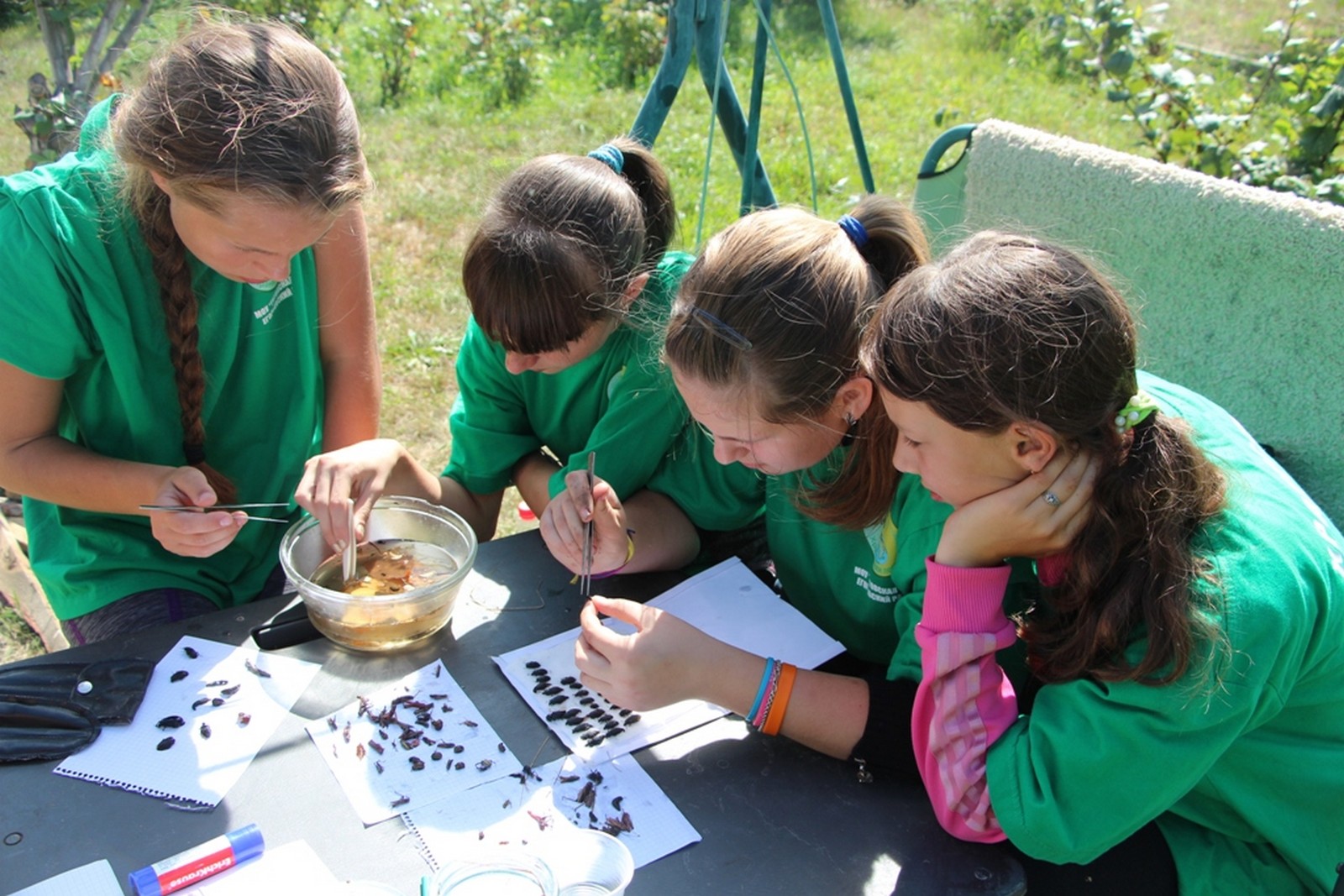 Тео ван рейссельберге купальщицы. Кружок юннатов. Огэ биология. Подготовка к гиа по биологии. Юный натуралист.