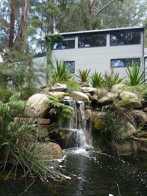 En el jardin: eventos jardineriles del 2011