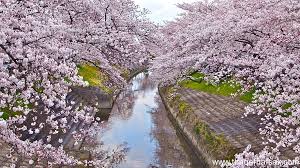images%2B%25286%2529