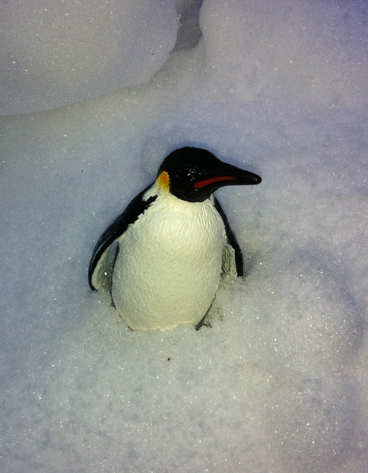 What Happens If You Ppp Pick Up A Penguin Begin your ppp loan