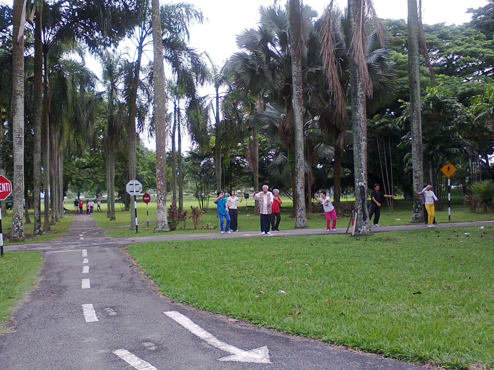 Ipoh Dr Park 怡保 DR 公園 : Ipoh Dr Park 怡保 Dr 公園