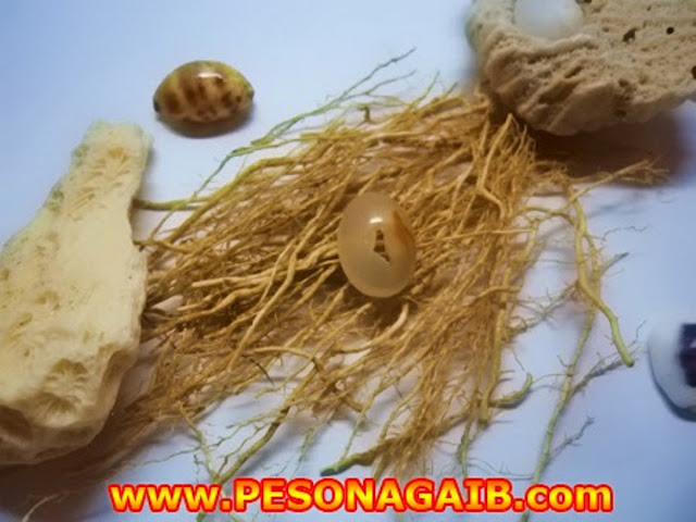 Dijual batu akik combong asli alam batu akik, akik combong, batu akik berlubang, akik lubang, akik pengasihan, batu pelet, akik pelet, jenis batu akik, macam macam batu ajaib, jual akik combong, jual batu akik murah