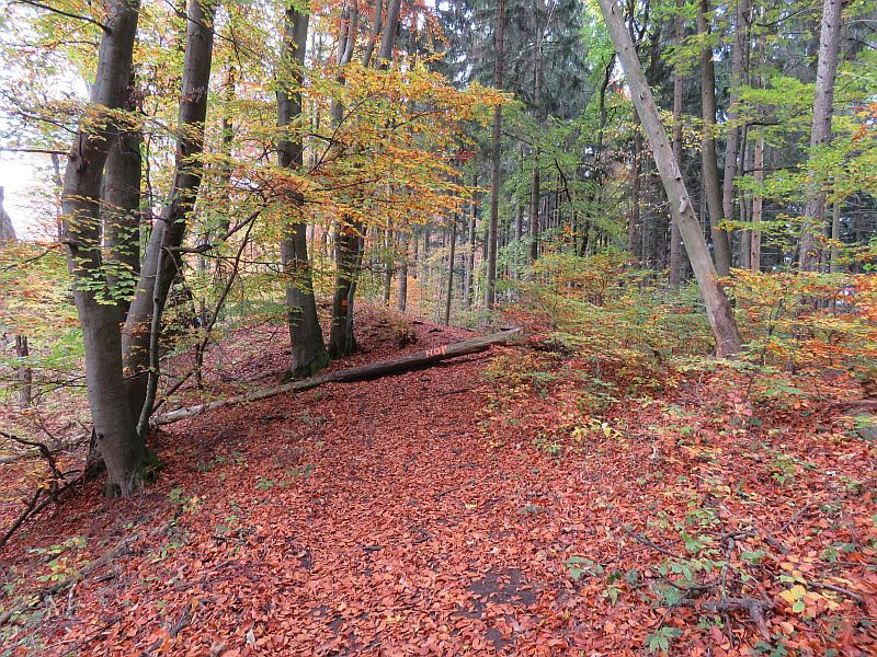Sulowskie Wierchy