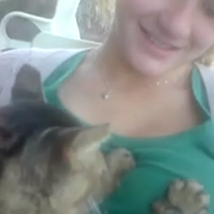 Video:女性の飼い主をもみもみしてあげる優しい猫ちゃん