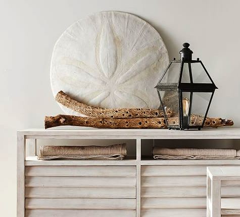 Sand Dollar Wall Decor