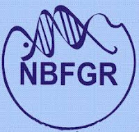NBFGR Recruitment 2016 | Data Entry Operator Jobs | Interview | Sarkari Naukri ICAR–National Bureau of Fish Genetic Resources, NBFGR, UP, Uttar Pradesh, Graduation, Data Entry Operator, DEO, freejobalert, Sarkari Naukri, Latest Jobs, nbfgr logo
