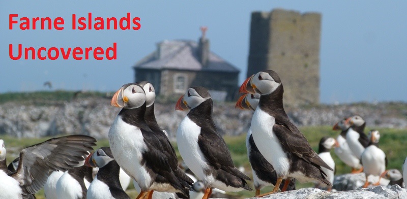 Farne Islands Uncovered
