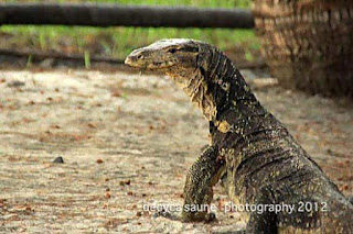 pulau biawak indramayu