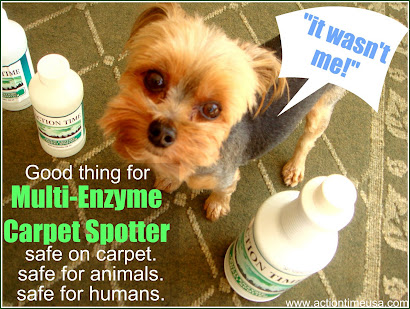 Multi-Enzyme Carpet Spotter Cleans Up Animal Mess!