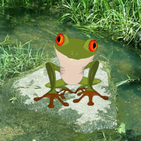 WowEscape Froggy Fun Forest Escape Walkthrough