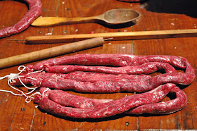 Raw Catalan Sausage or botifarra during the slaughter or matanza