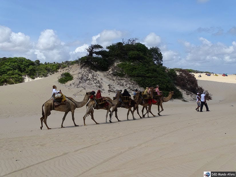Passeio de dromedário em Genipabu,- Passeio de Buggy em Natal Passeio de dromedário em Genipabu,- Passeio de Buggy em Natal