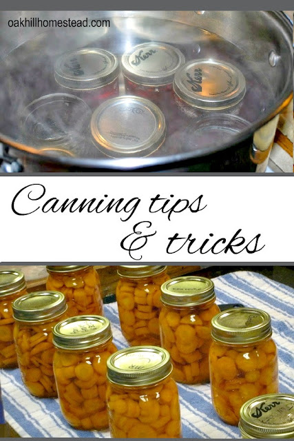 Canning tips and tricks I learned from Dr. Barbara Brown, Oklahoma's canning expert. Canning tips and tricks I learned from Dr. Barbara Brown, Oklahoma's canning expert.