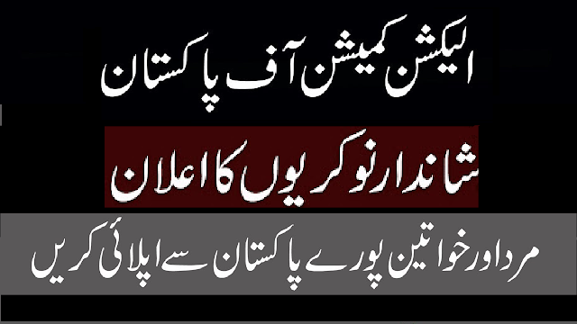 ECP Election Commission of Pakistan Jobs 2019 Download Application Form ECP Election Commission of Pakistan Jobs 2019 Download Application Form