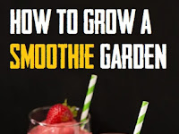 How to grow a smoothie garden