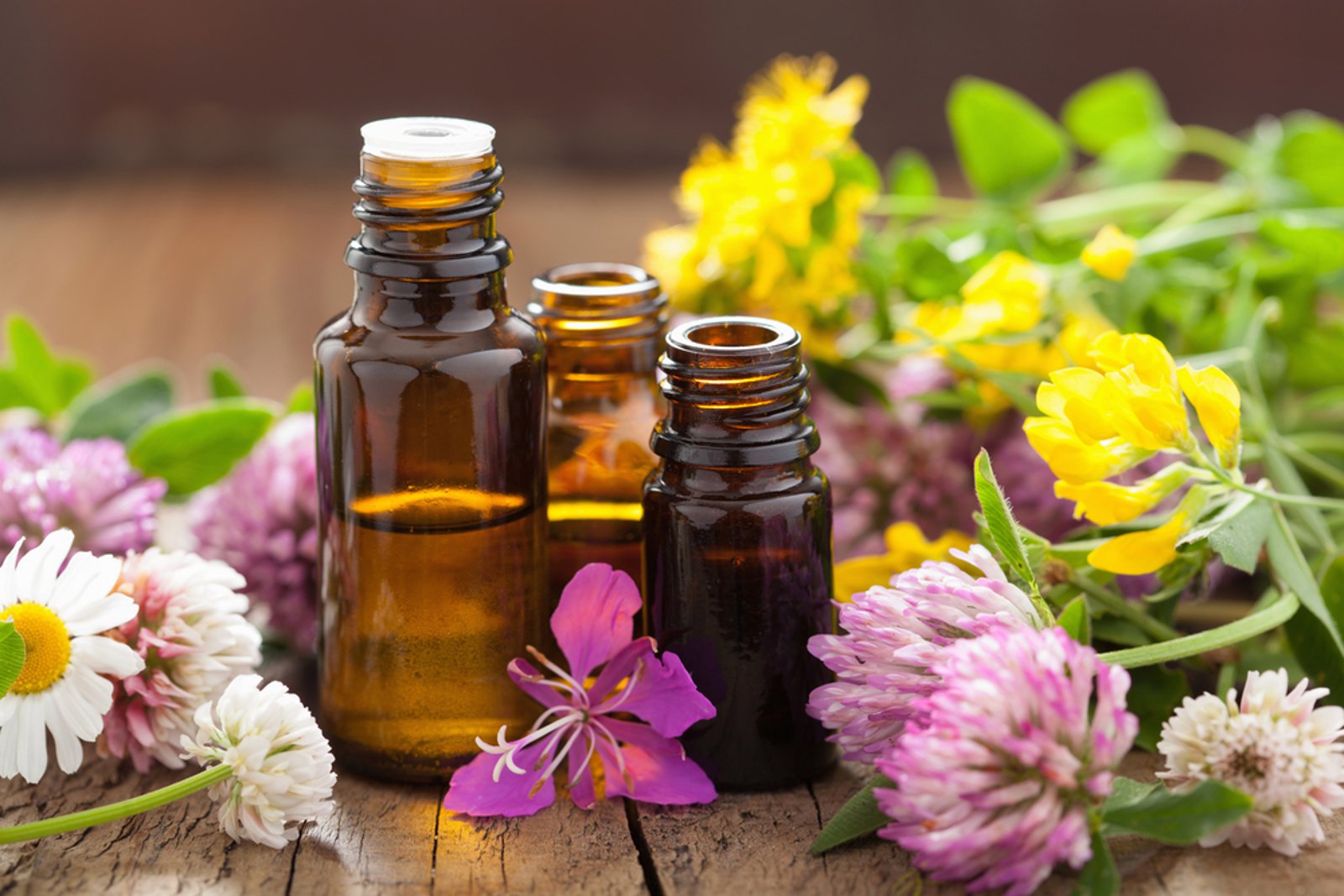 Amazing Herbal Oils For Skin Care AMULYA NEWS INDIA