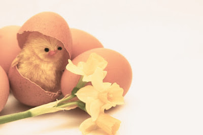Happy Easter 2016 Images - Pictures - Wallpaper and Pics Happy Easter 2016 Images - Pictures - Wallpaper and Pics