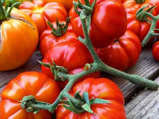 सपने में टमाटर देखना sapne mein tomato dekhna सपने में टमाटर देखना sapne mein tomato dekhna
