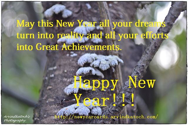 dreams, reality, efforts, Great Achievement, Happy New Year, New Year Card 